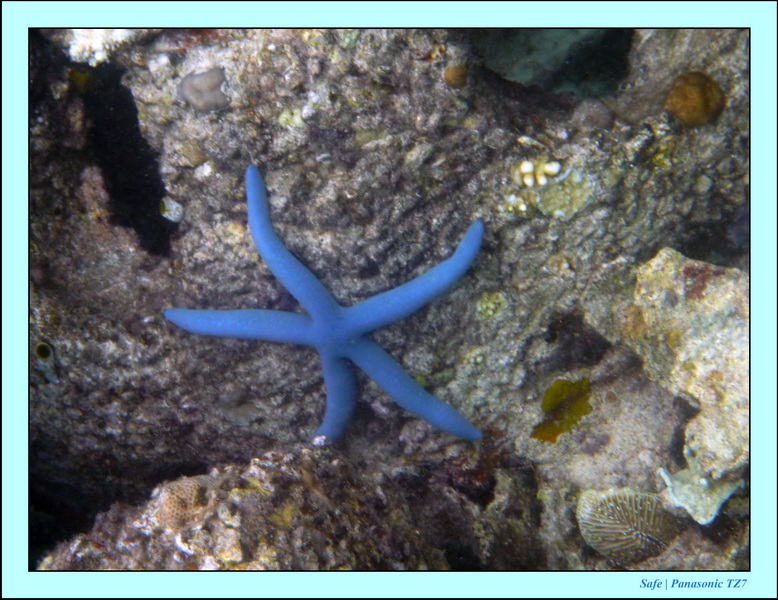 2009   07   Matakin 61